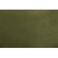 Cover for transport box COOL PET Plus olive color