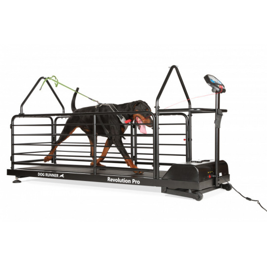 Dog Runner Treadmill – Revolution Pro Dog Runner Treadmill – Revolution Pro