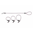 Training leash with three slip collars