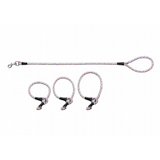 Training leash with three slip collars