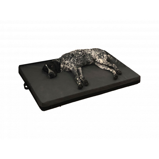 Orthopedic Bed - Black Eco Leather