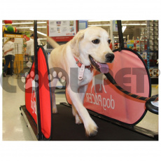 Treadmill for large dogs DOG PACER LF 3.1 Treadmill for large dogs DOG PACER LF 3.1