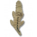 Small crocodile (70 cm)